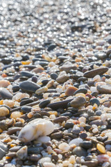 Sea stones on the seashore in the summer