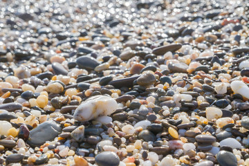 Sea stones on the seashore in the summer