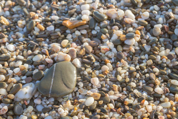 Sea stones on the seashore in the summer
