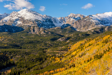 Obraz premium Aspen grove at autumn in Rocky Mountains