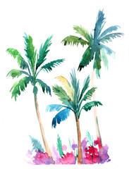 Obraz premium Palm trees. Watercolor illustration