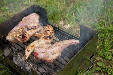 Grillen - auf grüner Wiese, Vercors französische Alpen