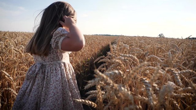 Happy childhood on nature child girl in summer dress walk and smile in a wheat field