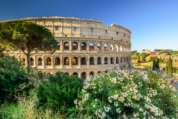Colosseum at sunrise, Rome, Italy, Europe. Rome ancient arena of gladiator fights. Rome Colosseum is the best known landmark of Rome and Italy