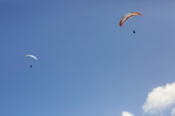 Paragliding on the blue sky and sea background, group of paragliders flying