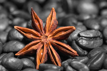 Anise star on coffee beans background.