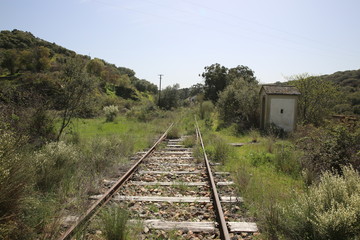 Fototapeta premium vias