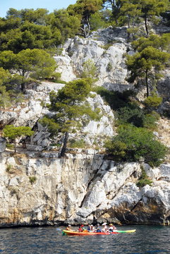 Calanques de Port-Miou vers Cassis, rochers, falaises et pins parasols, département des Bouches-du-Rhône, France