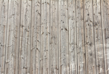 wooden background, wall of thin boards with lots of nails