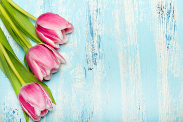 Pink tulip bouquet on blue wooden background, copy space. Beautiful flowers