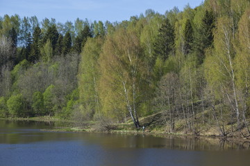 Spring landscape with Blue River