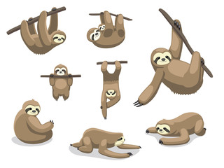 Sloth Poses Cartoon Vector Illustration - obrazy, fototapety, plakaty