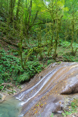 Russia, Sochi, Black see