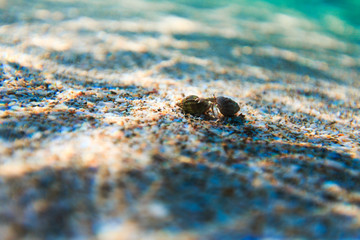 Sea reef and sea sand, beauty sea sand