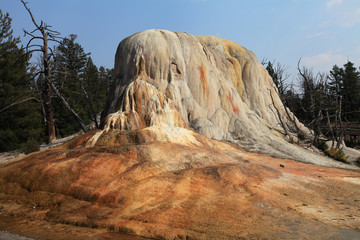 Upper Terrace, Mammoth Hot Springs, Yellowstone NP 