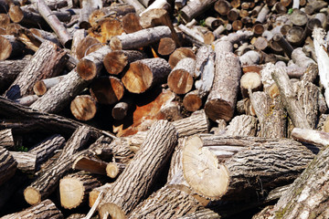 Stack of firewood. Wooden log. Pile of wood logs ready for winter. Firewood Pile. Wood Pile
