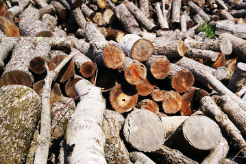 Stack of firewood. Wooden log. Pile of wood logs ready for winter. Firewood Pile. Wood Pile