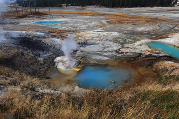 Norris Geyser Basin, Yellowstone NP  © nikidel