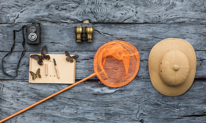 butterfly net and butterfly collection