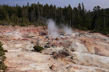 Norris Geyser Basin, Yellowstone NP  © nikidel