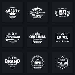 Vintage Retro Vector Logo for banner