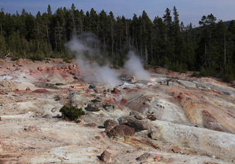Norris Geyser Basin, Yellowstone NP  © nikidel