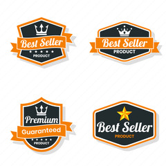 Naklejka premium Vintage Retro Vector Logo for banner