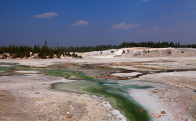 Norris Geyser Basin, Yellowstone NP 