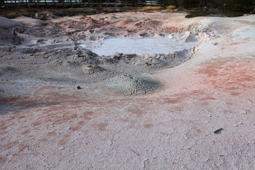 Norris Geyser Basin, Yellowstone NP 