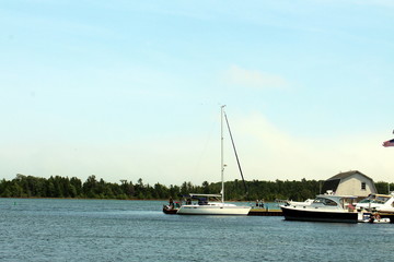 Sailboat in the Harbor