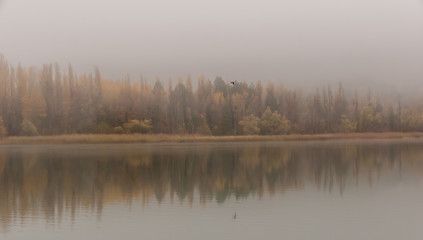 A sunrise with fog in Laguna de Uña in Cuenca Spain