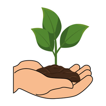 hands lifting plant and ground ecology vector illustration design