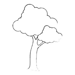 tree plant nature icon vector illustration design