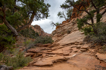 Fototapeta premium Sandstone formations, Zion National Park