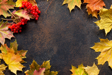 Autumn motive. Autumn background with autumn maple red and orange leaves and berries on  slate background. Top view flat lay background with copy space.