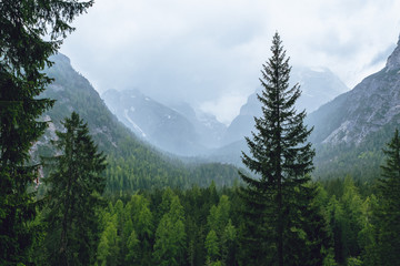 Mountains Lakes and Nature in the Dolomites, Italy