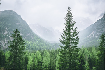 Mountains Lakes and Nature in the Dolomites, Italy
