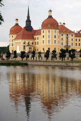 Obraz premium View of the beautiful Moritzburg Castle reflected in the water, vertical image, Saxony, Germany