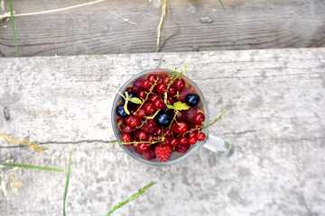 Fresh organic summer berries in a cup. Currant