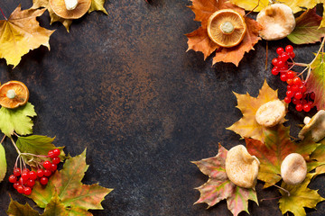 Autumn background with autumn maple red and orange leaves,  mushrooms and berries on  slate background. Top view flat lay background with copy space.