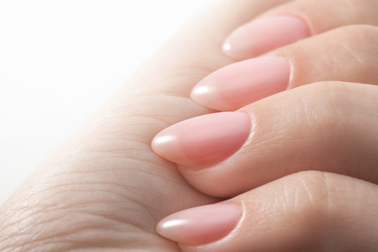 Women's hands with perfect Nude manicure. Nail Polish is a natural pale pink shade. Isolated on white