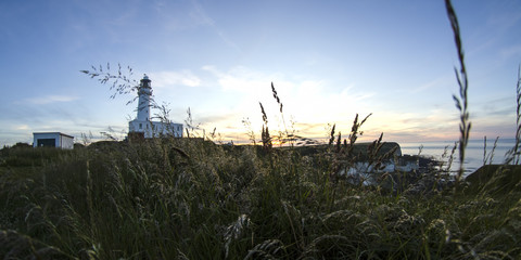Looking through Long Grass to a Lighthouse at Sunset