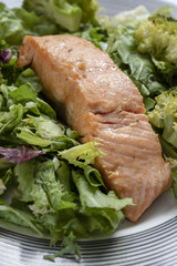 Salmon with cooked broccoli and leafy vegetables