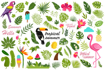 cartoon set of flat summer decor elements. tropical design. vector illustration