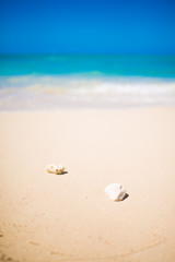 Walking in Hawaii ハワイの散歩