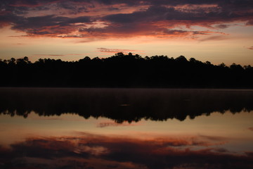 Morning Orange