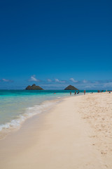 Walking in Hawaii ハワイの散歩