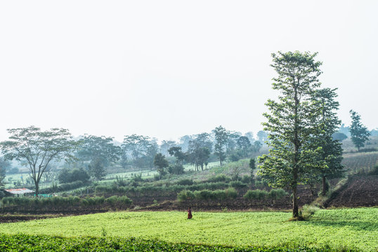 Indian countryside.