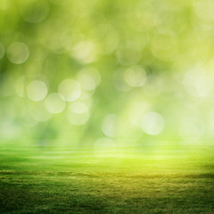 Evening summer background