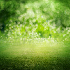 Naklejka premium Green field landscape